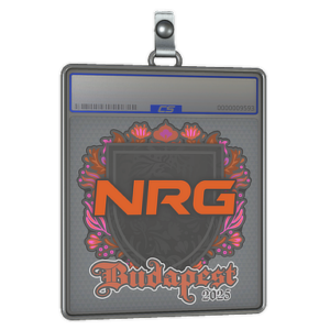 Sticker Slab | NRG | Budapest 2025