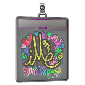 Sticker Slab | iM (Holo) | Budapest 2025