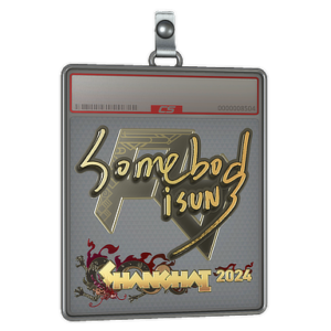 Sticker Slab | somebody (Gold) | Shanghai 2024