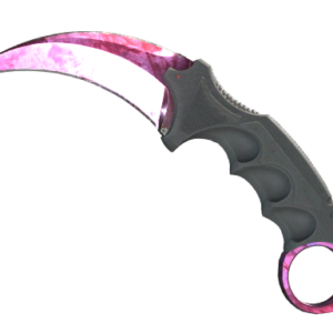 ★ Karambit | Doppler Phase 2 (Factory New)