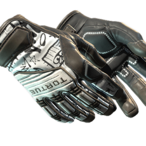 ★ Specialist Gloves | Blackbook (Minimal Wear)