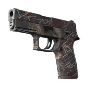Souvenir P250 | Facility Draft (Well-Worn)