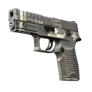 StatTrak™ P250 | Re.built (Field-Tested)